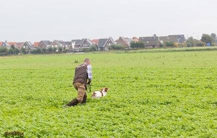 naamloos-170