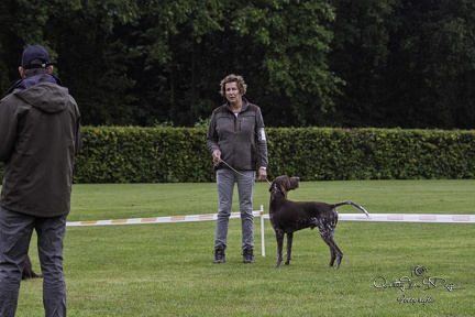 IMG 4958-Verbeterd-NR