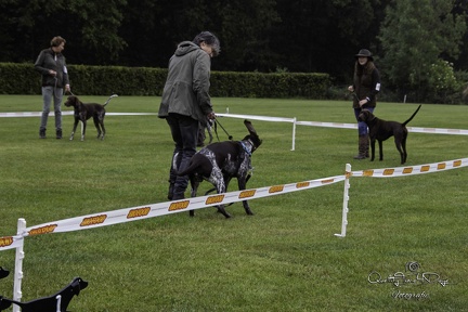 IMG 4959-Verbeterd-NR