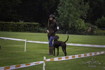 IMG 4960-Verbeterd-NR