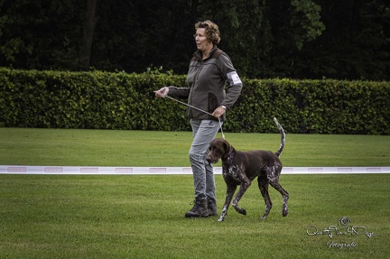 IMG 4961-Verbeterd-NR