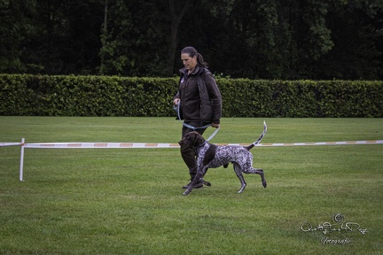 IMG 4962-Verbeterd-NR