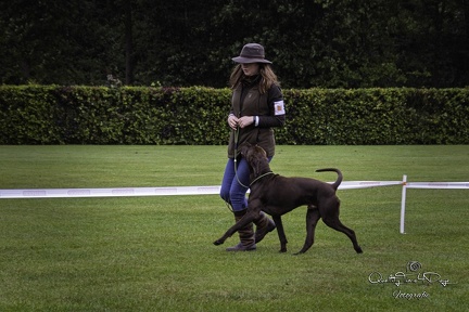 IMG 4964-Verbeterd-NR