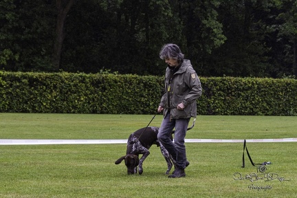 IMG 4965-Verbeterd-NR