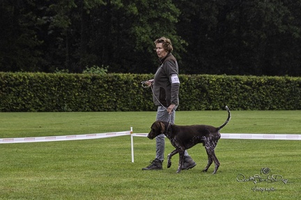 IMG 4966-Verbeterd-NR