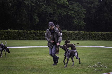 IMG 4968-Verbeterd-NR