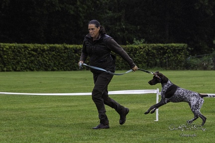 IMG 4972-Verbeterd-NR