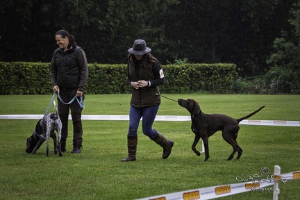 IMG 4974-Verbeterd-NR