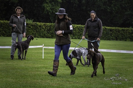 IMG 4975-Verbeterd-NR