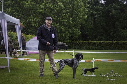 IMG 4980-Verbeterd-NR-bewerkt