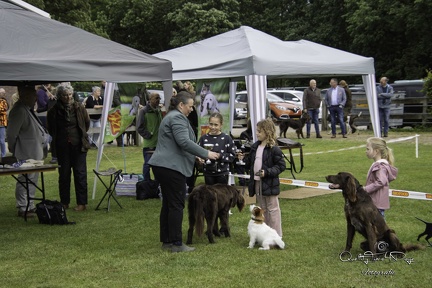 IMG 5078-Verbeterd-NR