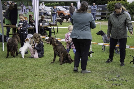 IMG 5080-Verbeterd-NR