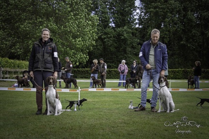 IMG 5097-Verbeterd-NR