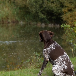 Korthaardag 12 okt 2025 foto's Kees Boon
